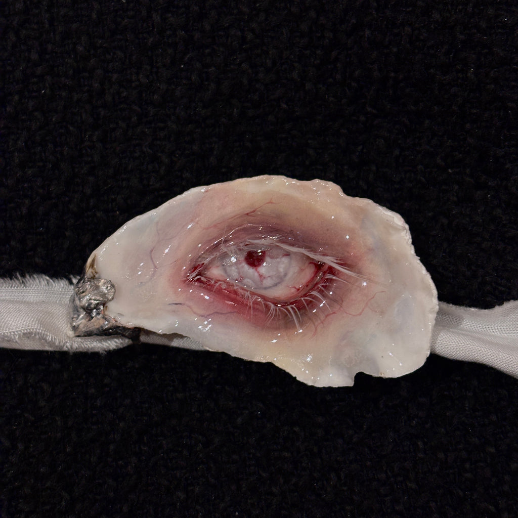 Lilith Scarlet Wound — Wounded Oyster Eye