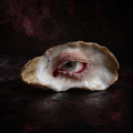 Carmilla Blood-Tear — Thermochromic Oyster Eye