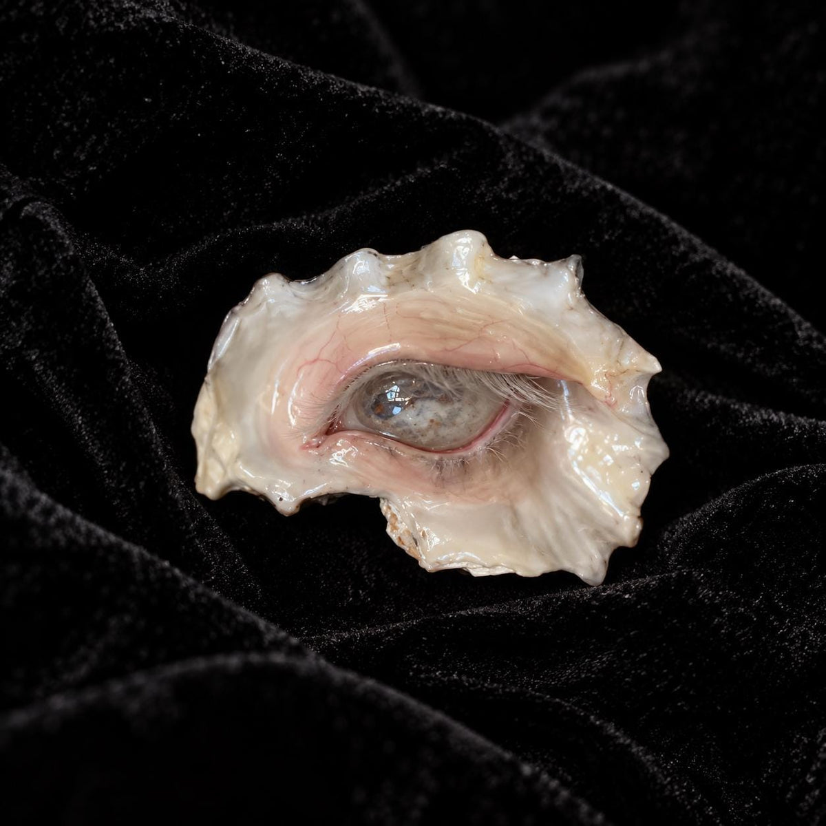 Morrow Eye — view 2