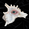 Verdant Gaze SF007-2 — emerald-green eye in an ivory spiked shell, full view