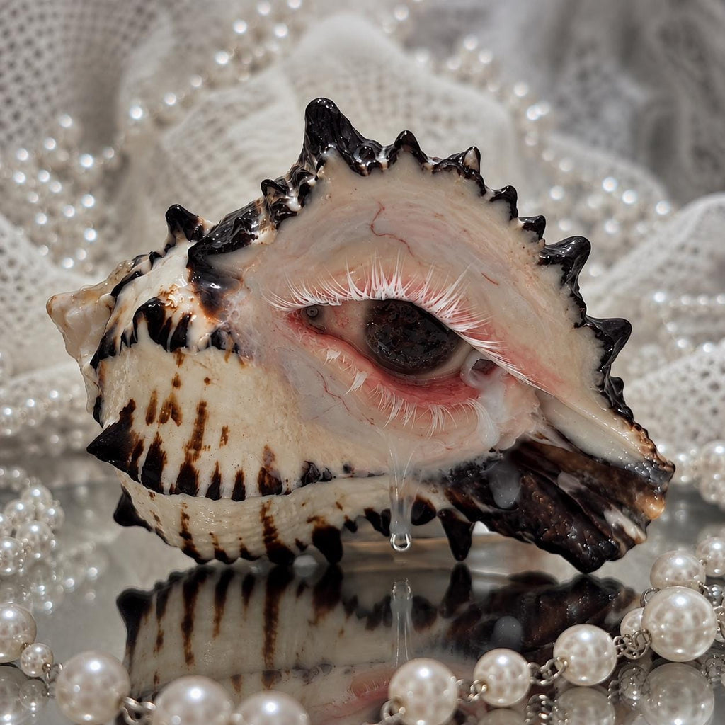 Mourning Tide — view 3
