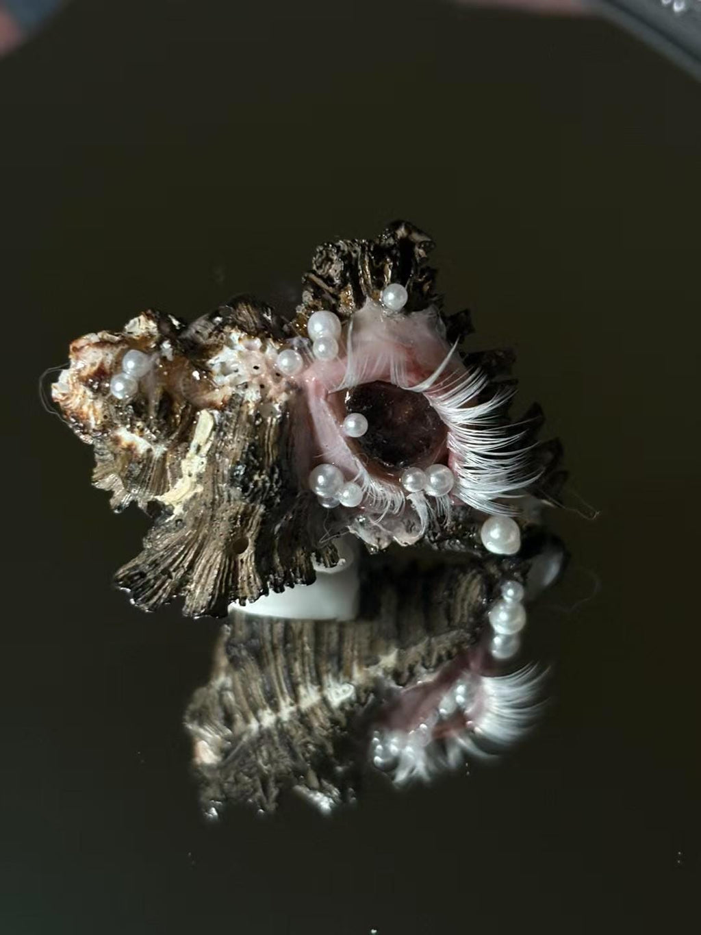 Weeping Eye Shell Candle Holder — view 10