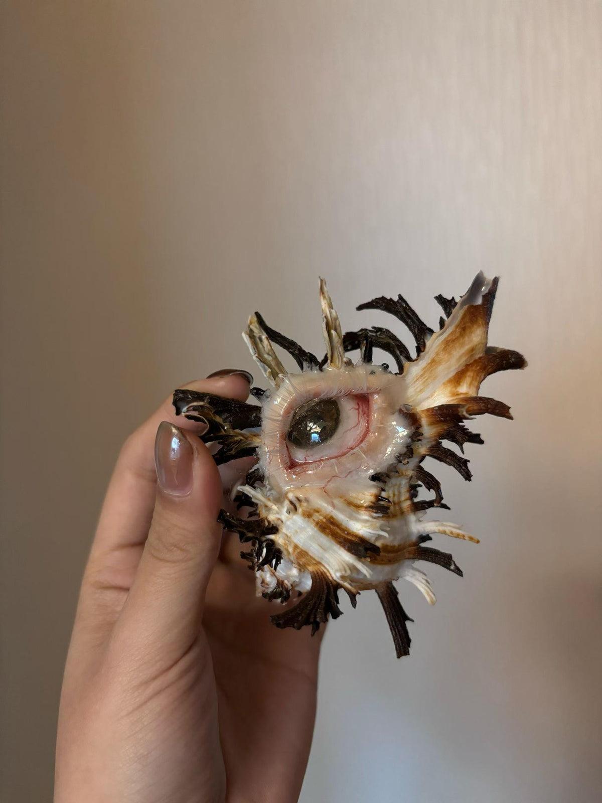 Weeping Eye Shell Candle Holder — view 3