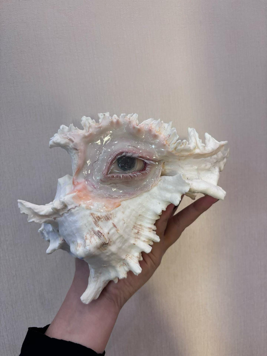 Weeping Eye Shell Candle Holder — view 6