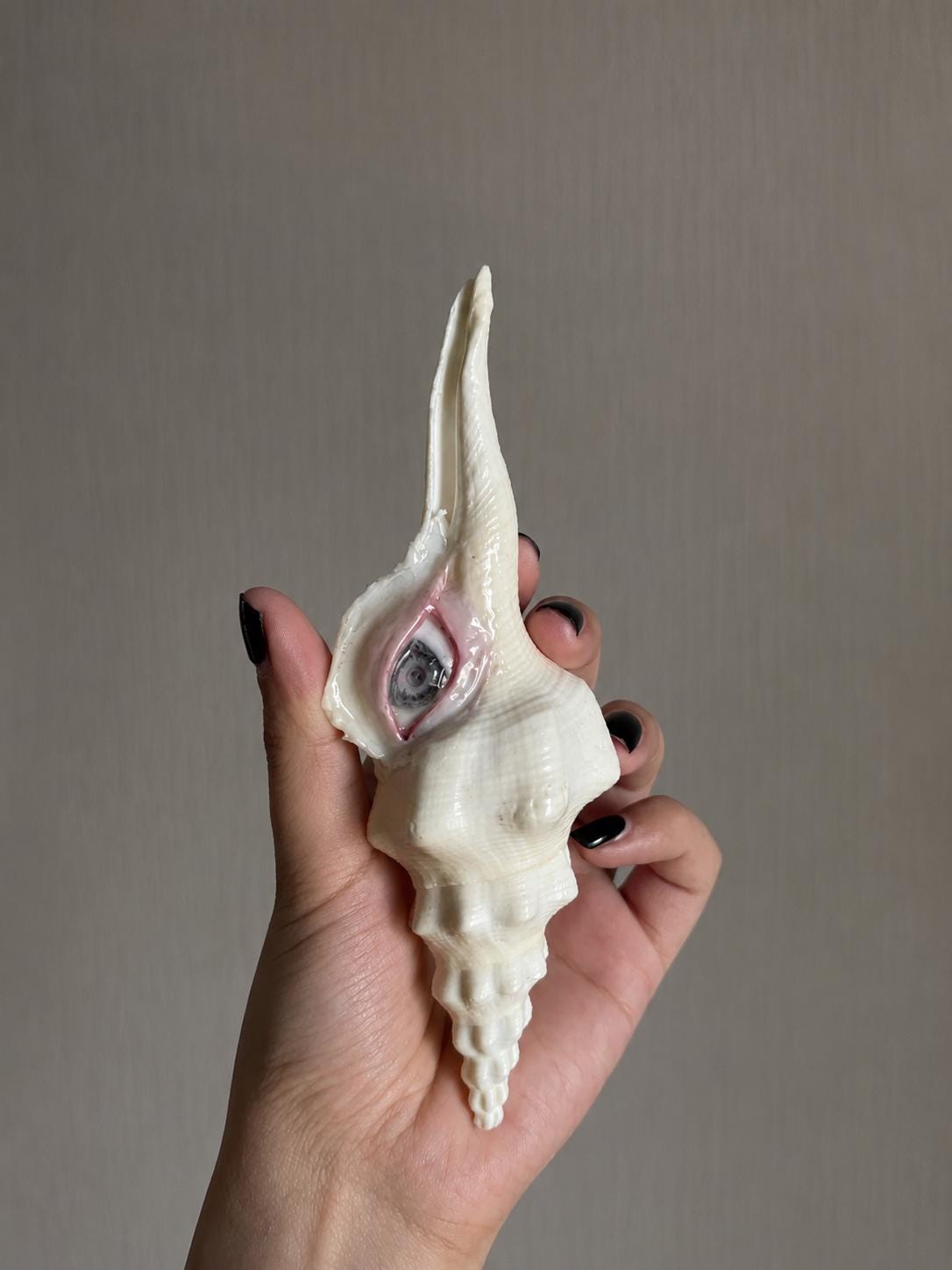 Long Conch Eye — product detail view 7