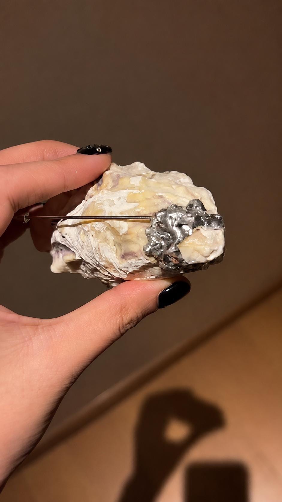 Gilded Oyster Eye — product detail view 10