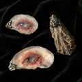 Blue Eye Oyster Shell Brooch & Choker — primary view