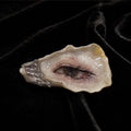 Nyra Black-Lash Oyster Eye — primary artwork view