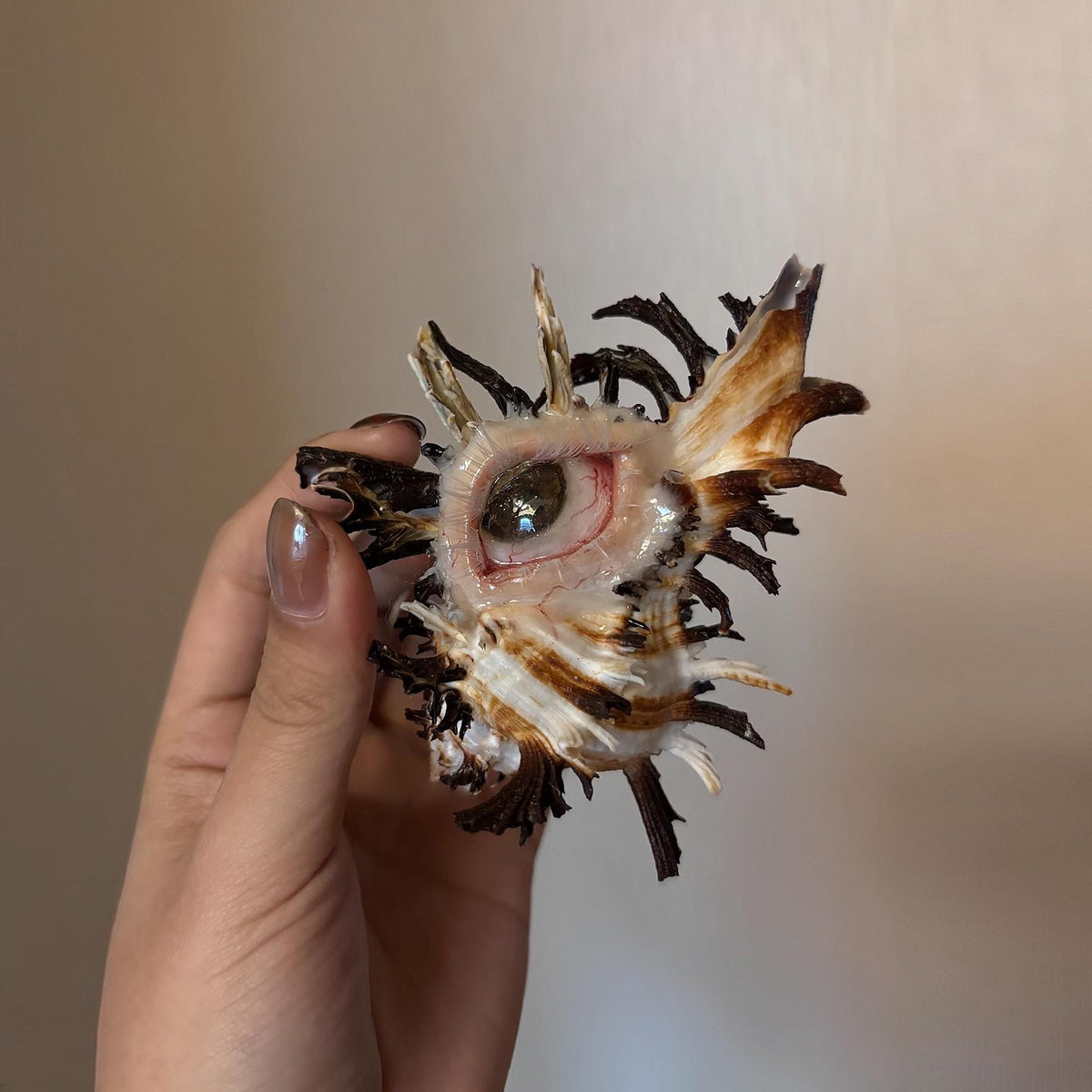 Abyss Guardians — Shell Eye Necklace or Sculpture — view 7