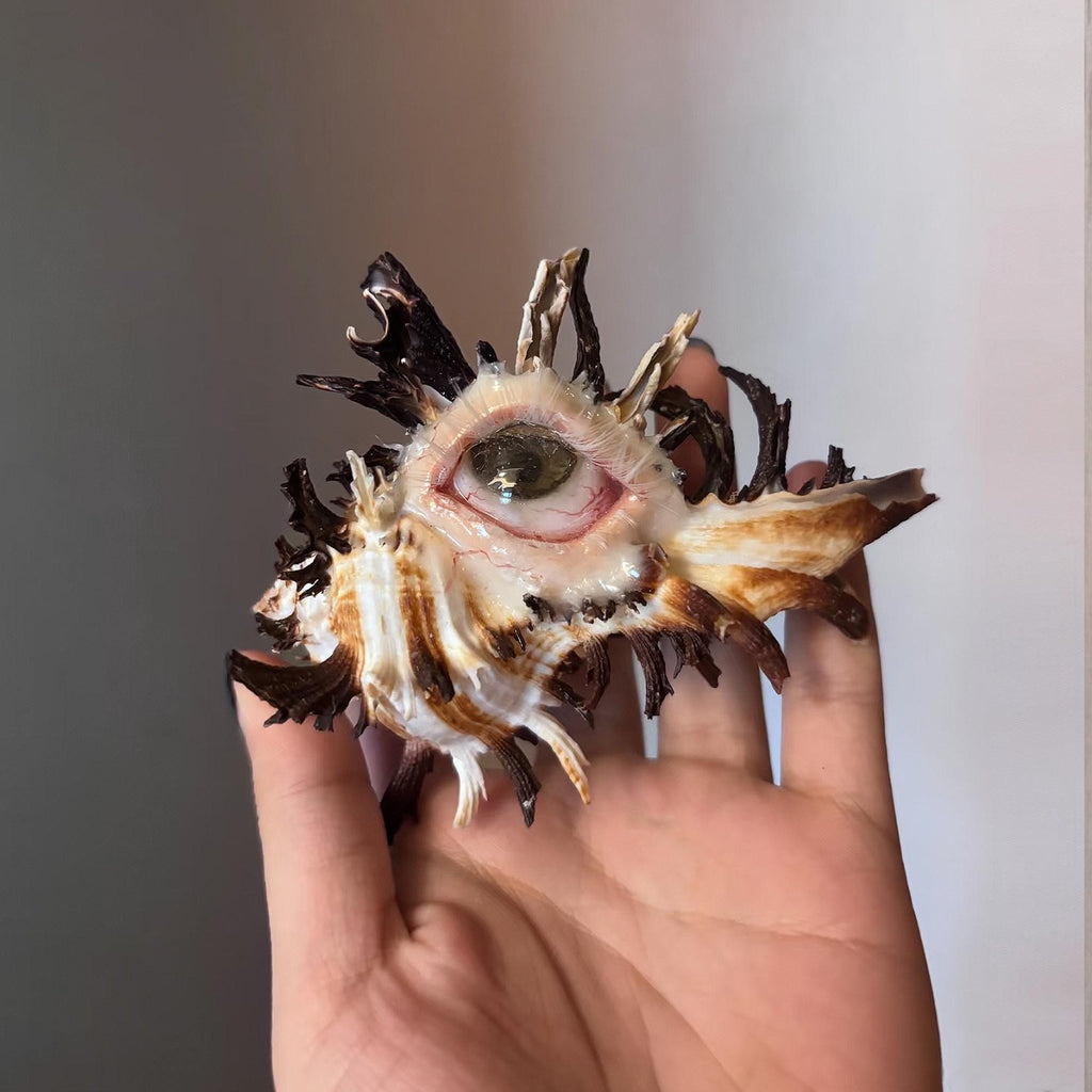 Abyss Guardians — Shell Eye Necklace or Sculpture — view 8